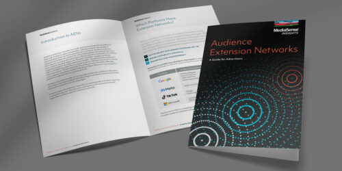 Audience Extension Networks – A Guide for Advertisers